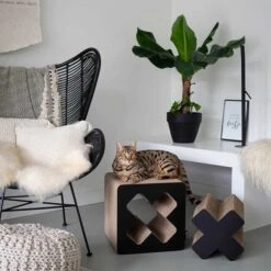 District 70 Kratzpappe Treasure Schwarz -Pet Verkauf district 70 kratzpappe treasure schwarz 5