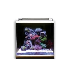 Dupla Marin Meerwasseraquarium Ocean Cube 50 Set -Pet Verkauf dupla marin meerwasseraquarium ocean cube 50 set 5tE4lemMMniTDO