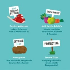 Edgard & Cooper Frisches Weidelamm 11 Edgard & Cooper Frisches Weidelamm -Pet Verkauf edgardcooper Lamm 8