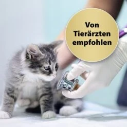 Felisept Home Comfort Raumdiffuser Set Für Katzen 45ml 7 Felisept Home Comfort Raumdiffuser Set Für Katzen 45ml -Pet Verkauf felisept home comfort raumdiffuser set fur katzen 45ml 4