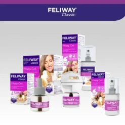 Feliway Classic Verdampfer 1 Monats-Nachfüllflakon 48ml -Pet Verkauf feliway classic verdampfer 1 monats nachfullflakon 48ml 8phbaBM4QSCL2O