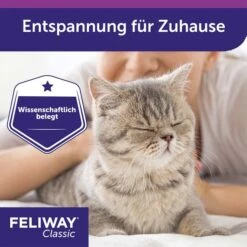 Feliway Classic Verdampfer Happy Home Start-Set 48ml -Pet Verkauf feliway classic verdampfer happy home start set 48ml 56OAAgWhxakMgl