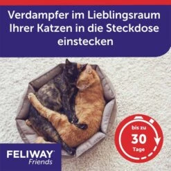 Feliway Friends Verdampfer Start-Set 48ml 11 Feliway Friends Verdampfer Start-Set 48ml -Pet Verkauf feliway friends verdampfer start set 48ml 4BE45zyRcQ6Y3F