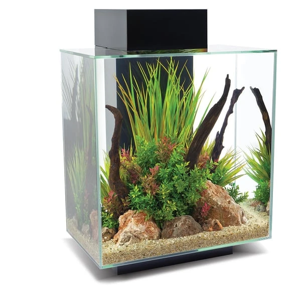 Fluval Aquarium Set Edge 2.0 46L 2 Fluval Aquarium Set Edge 2.0 46L – Bild 2