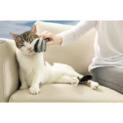 FURminator Doppelbürste Für Hund Und Katze 9 FURminator Doppelbürste Für Hund Und Katze -Pet Verkauf furminator doppelbuerste hund katze 5