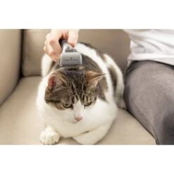 FURminator Entfilzer Für Hund Und Katze 9 FURminator Entfilzer Für Hund Und Katze -Pet Verkauf furminator entfilzer hund katze 5