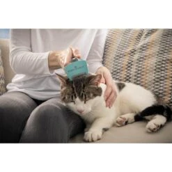 FURminator Katze Kurzhaar Bürste Für Unterwolle 9 FURminator Katze Kurzhaar Bürste Für Unterwolle -Pet Verkauf furminator katze buerste unterwolle s alle