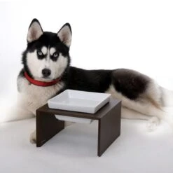 Replus Futterstation Meshidai Einzelnapf Schwarz - -Pet Verkauf futterstation meshidai einzelnapf schwarz lackiert2 152554d6ed592e