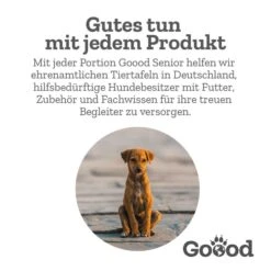 Goood Mini Senior Freilandpute & Nachhaltige Forelle 14 Goood Mini Senior Freilandpute & Nachhaltige Forelle -Pet Verkauf goood senior huhn forelle futter 3ZCcJZkqgUgBi7