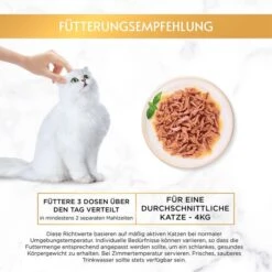 GOURMET GOLD Saftig-feine Streifen Sorten-Mix 96x85g -Pet Verkauf gourmet gold saftig feine streifen sorten mix 96x85g 7