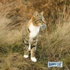 Happy Cat Bio Pouch Rind -Pet Verkauf happy cat bio pouch rind 85g 6