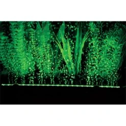 Hobby Bubble Air LED Colour & Moon -Pet Verkauf hobby bubble air led colour moon 7