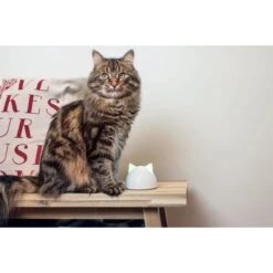 SureFeed Mikrochip Futterautomat Connect + Hub -Pet Verkauf hub 25d316bf24a70a