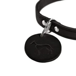 Hunter Halsband Aalborg Schwarz -Pet Verkauf hunter halsband aalborg schwarz 3