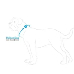 Hunter Halsung Divo Grau -Pet Verkauf hunter halsumfang608ac69f38e72