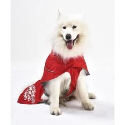 IEnergy JUD Hundewintermantel -Pet Verkauf ienergy wintermantel jud 4