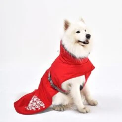 IEnergy JUD Hundewintermantel -Pet Verkauf ienergy wintermantel jud 5