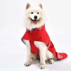 IEnergy JUD Hundewintermantel -Pet Verkauf ienergy wintermantel jud 6