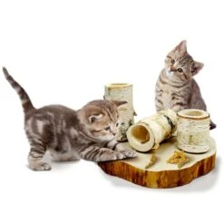 JR Farm Back To Instinct Cat Fun-Park -Pet Verkauf jr cat btI fun park 4