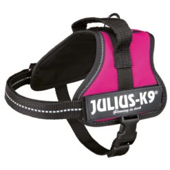 Julius K9 Julius-K9 Powergeschirr Fuchsia