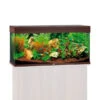 Juwel Rio 180 LED Komplett Aquarium Ohne Schrank
