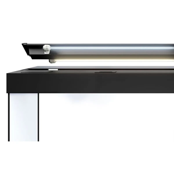 Juwel Rio 450 LED Komplett Aquarium Mit Unterschrank SBX 4 Juwel Rio 450 LED Komplett Aquarium Mit Unterschrank SBX – Bild 4