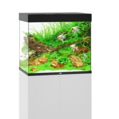 Juwel Lido 200 LED Komplett Aquarium Ohne Schrank