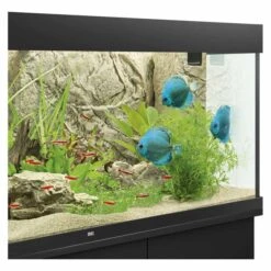 Juwel Motivrückwand Cliff Light -Pet Verkauf juwel motivruckwand cliff light 1