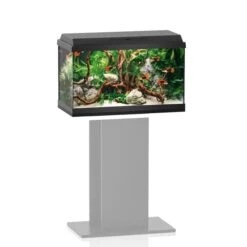 Juwel Aquarium Primo 60 Schwarz