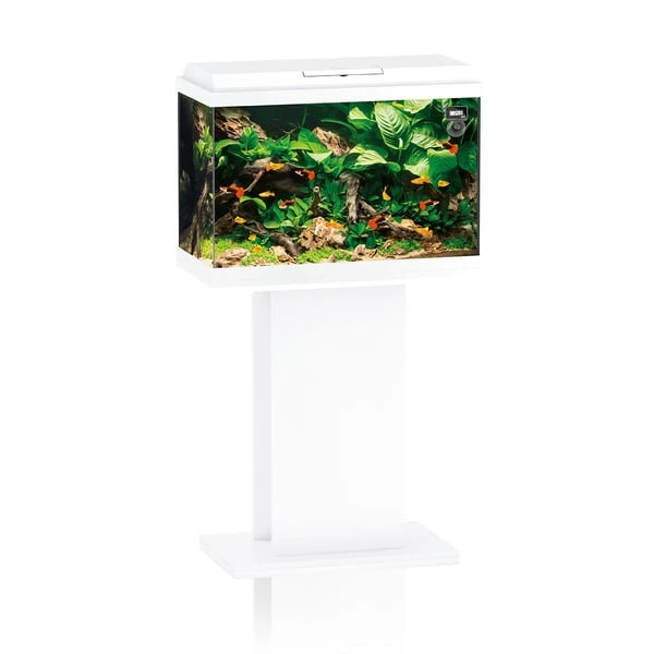 Juwel Aquarium Primo 70 Weiß 1 Juwel Aquarium Primo 70 Weiß