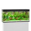 Juwel Rio 240 LED Komplett Aquarium Ohne Schrank