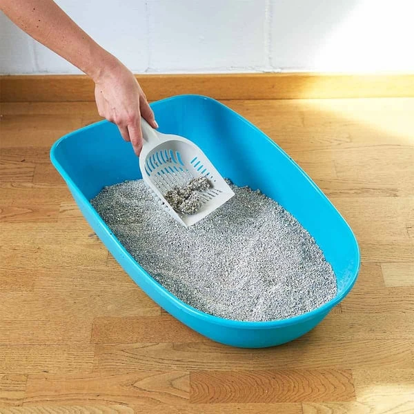 ZooRoyal Tigrooo Multi-Cat 2 ZooRoyal Tigrooo Multi-Cat – Bild 2