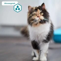 ZooRoyal Tigrooo Multi-Cat 12 ZooRoyal Tigrooo Multi-Cat -Pet Verkauf multicat 3