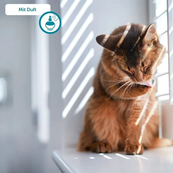 ZooRoyal Tigrooo Multi-Cat 8 ZooRoyal Tigrooo Multi-Cat – Bild 8