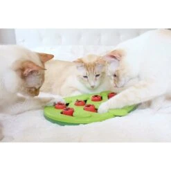 Nina Ottosson Puzzle & Play Buggin Out Intelligenzspielzeug -Pet Verkauf nina ottosson inteligenz spielzeug buggin out web 7