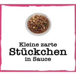 PURINA BENEFUL Schleckermäulchen Mit köstlichem Huhn & Leckerem Rind -Pet Verkauf purina beneful schleckermaulchen mit kostlichem huhn und leckerem rind 100g 6