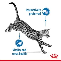 ROYAL CANIN INDOOR 7+ Sterilised In Gelee Nassfutter Für Wohnungskatzen Ab 7 Jahren -Pet Verkauf royal canin indoor sterilised 7plus jelly 85g 3