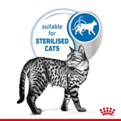 ROYAL CANIN INDOOR 7+ Sterilised In Gelee Nassfutter Für Wohnungskatzen Ab 7 Jahren -Pet Verkauf royal canin indoor sterilised 7plus jelly 85g 4