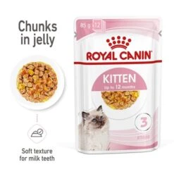 ROYAL CANIN KITTEN Nassfutter In Gelee Für Kätzchen
