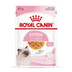 ROYAL CANIN KITTEN Nassfutter In Gelee Für Kätzchen -Pet Verkauf royal canin kitten nassfutter in gelee fur katzchen 11