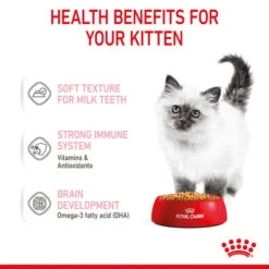 ROYAL CANIN KITTEN Nassfutter In Gelee Für Kätzchen -Pet Verkauf royal canin kitten nassfutter in gelee fur katzchen 4