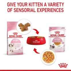ROYAL CANIN KITTEN Nassfutter In Gelee Für Kätzchen -Pet Verkauf royal canin kitten nassfutter in gelee fur katzchen 5