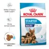 ROYAL CANIN MAXI Starter Für Tragende Hündin Und Welpen Großer Rassen