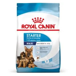 ROYAL CANIN MAXI Starter Für Tragende Hündin Und Welpen Großer Rassen -Pet Verkauf royal canin maxi starter fur tragende hundin und welpen grosser rassen 12