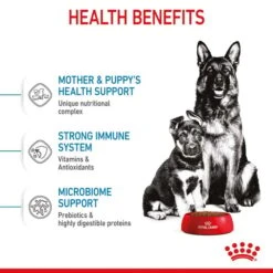 ROYAL CANIN MAXI Starter Für Tragende Hündin Und Welpen Großer Rassen -Pet Verkauf royal canin maxi starter fur tragende hundin und welpen grosser rassen 5