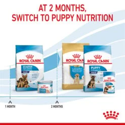 ROYAL CANIN MAXI Starter Für Tragende Hündin Und Welpen Großer Rassen -Pet Verkauf royal canin maxi starter fur tragende hundin und welpen grosser rassen 7