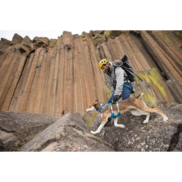 Ruffwear Geschirr Flagline Blue Dusk 10 Ruffwear Geschirr Flagline Blue Dusk – Bild 10