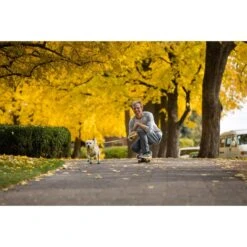 Ruffwear Geschirr Flagline Lichen Green 21 Ruffwear Geschirr Flagline Lichen Green -Pet Verkauf ruffwear geschirr flagline lichen green web 12