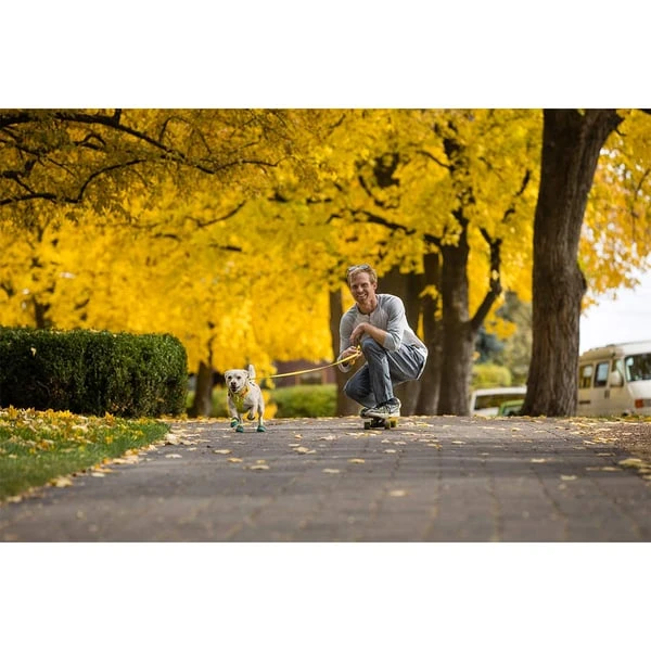 Ruffwear Geschirr Flagline Lichen Green 11 Ruffwear Geschirr Flagline Lichen Green – Bild 11