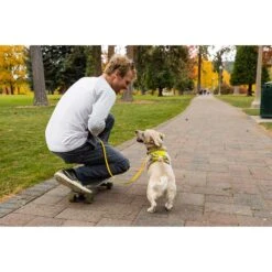 Ruffwear Geschirr Flagline Lichen Green 20 Ruffwear Geschirr Flagline Lichen Green -Pet Verkauf ruffwear geschirr flagline lichen green web 9